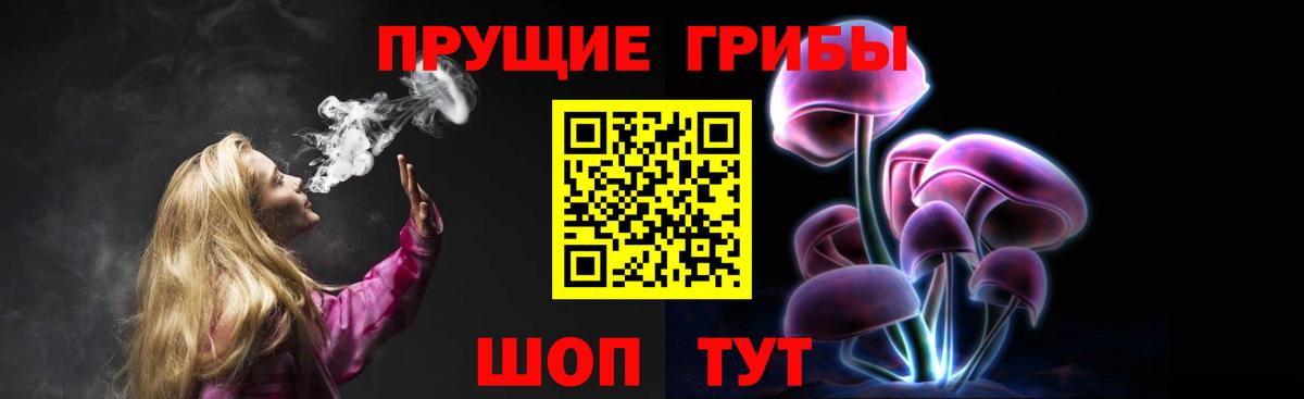 Галлюциногенные грибы Cubensis  Галлюциногенные грибы Cubensis  Наро-Фоминск  Вход с VPN 